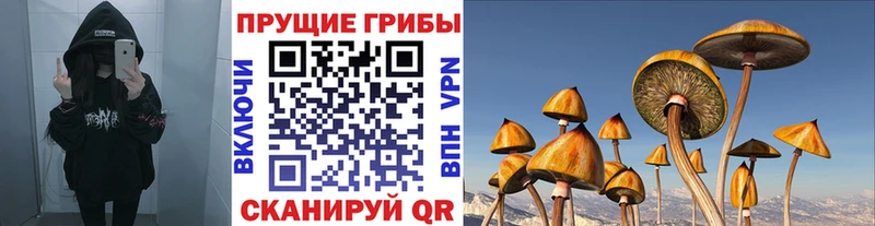 мега tor  Боровичи  Галлюциногенные грибы GOLDEN TEACHER 