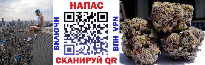 Бошки Шишки гибрид  OMG ТОР  Боровичи 